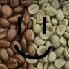 __caffee_