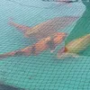 koifiltration