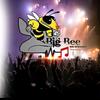 bigbeemusic.sa