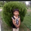 alishah__99