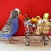 mysteryshopper01