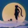 nargxssii