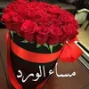 riyadmalak4