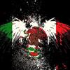 mexicanochingon16