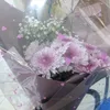 zahraazahraa2616