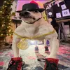 perdidocachorro94