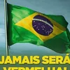 assisaraujo269