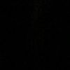 lisset_m1