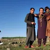 mohammadrahim4951
