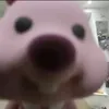 yss_xluz