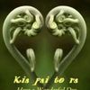 user13633106147762