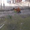 musayev.murad