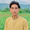 m.talha803