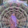 anismohdnor8