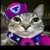 catsqueack