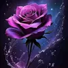 user3274770530248