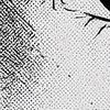 0.albara.505