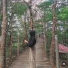 ananaa_264