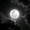 luna...zx