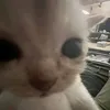 jsnfjsjskdnjfbsksdjdaja