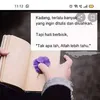 hnzhanzpt