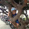 tungquanhuynh