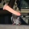 hui_na_avi
