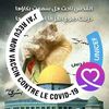 taha.salhi3