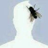 iwan_jrline01