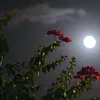 user9eitmzwoi1