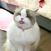 hanyy926