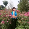 thanh_hong75