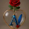 hafizcheema837