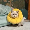 bebaomupmip