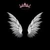 adn.lazaro