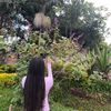 achuor0