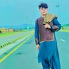 .roheedandar