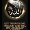 shamil65__