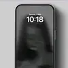 anisoquraxe1