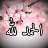 user5413ty9tcp
