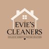 eviescleaners