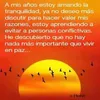 luiscruz24522