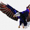 user8161539041943ali