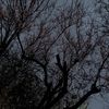 lost..soul00