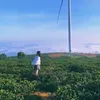 nguyn.nguyn419