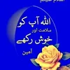 muzamil.shahzad824
