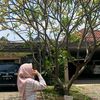 iniipunyaaroro