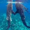 sharklover0130