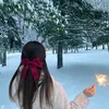 hai_dsr