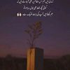 user9209914798568